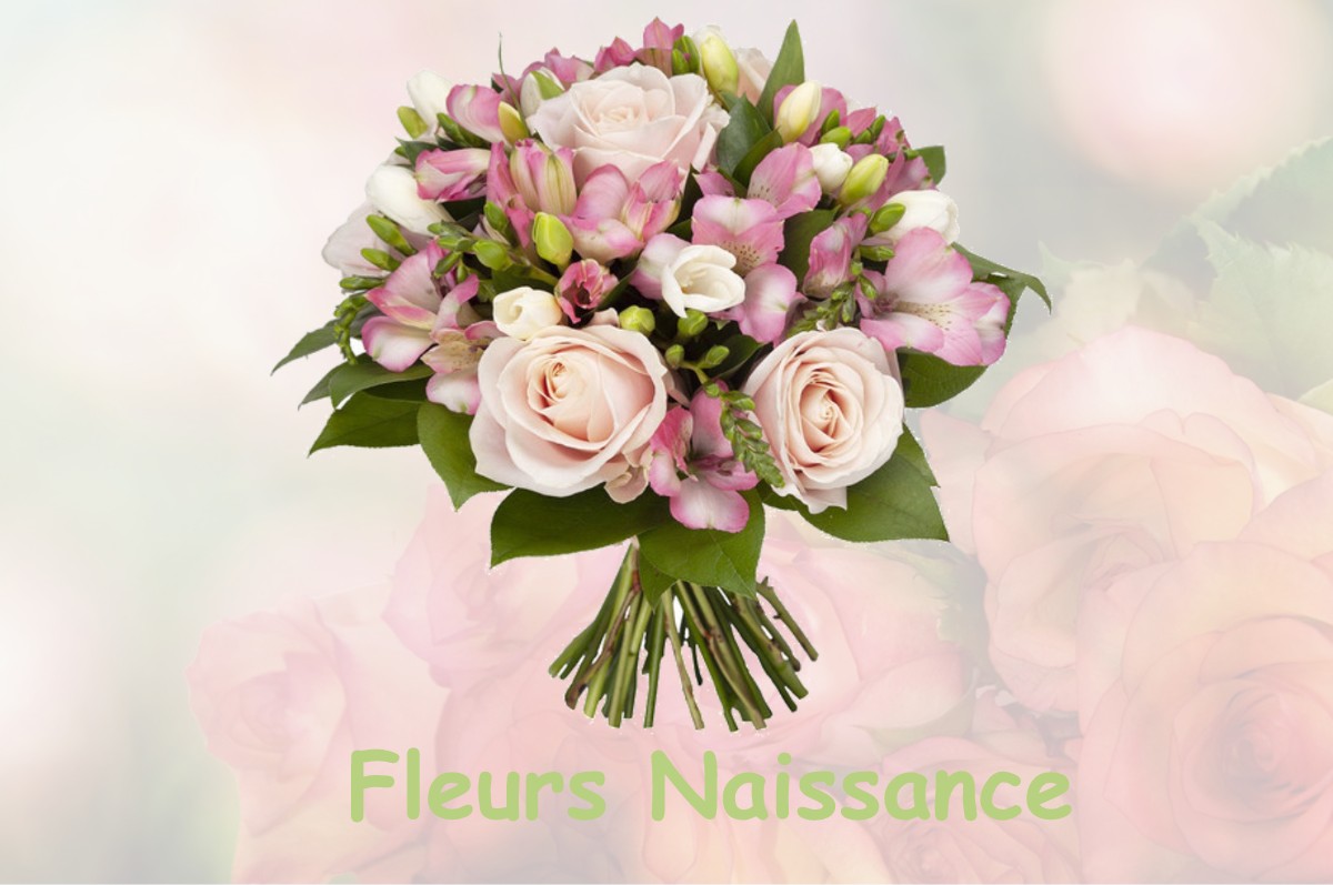 fleurs naissance GORBIO